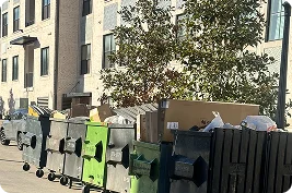 DFW Waste Removal